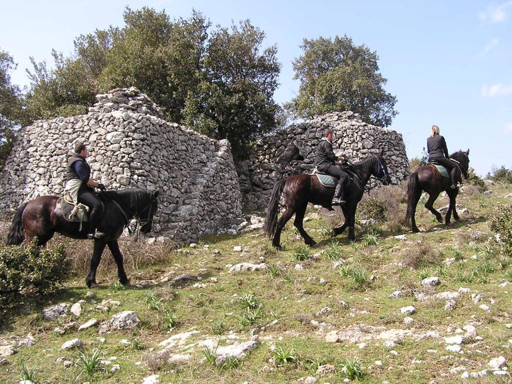 Hotel Menta E Rosmarino Monte Sant'Angelo Eksteriør billede
